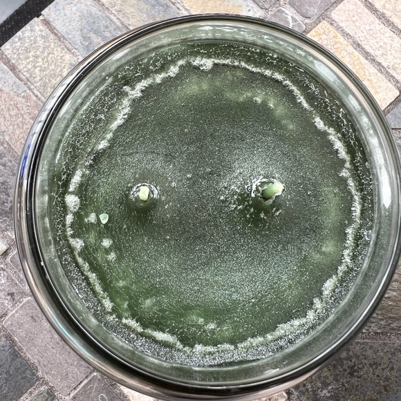 NEW- 🎄Goode Creek 24oz Candle, Balsam Fir🎄 - Picture 3 of 3